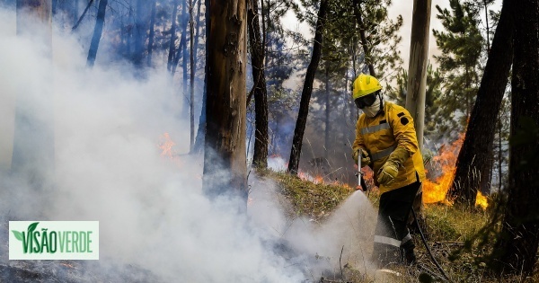 Plus de 400 agents combattent 11 incendies actifs à 18h00